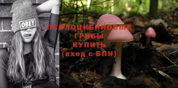 спиды Беломорск