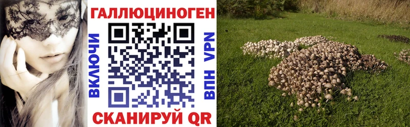 дарк нет официальный сайт  МЕГА ссылка  Дзержинский  купить  цена  Псилоцибиновые грибы Psilocybine cubensis 